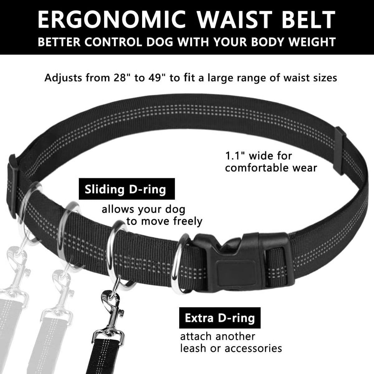 Hands Free Dog Leash ~ Built for dogs at war with squirrels.