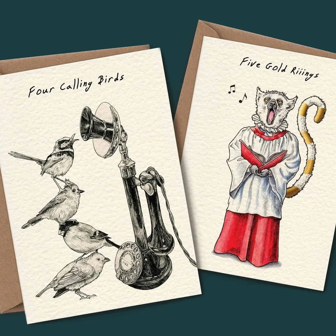 Twelve Days Of Christmas Card Set ~ Bold, witty holiday greetings in every envelope.