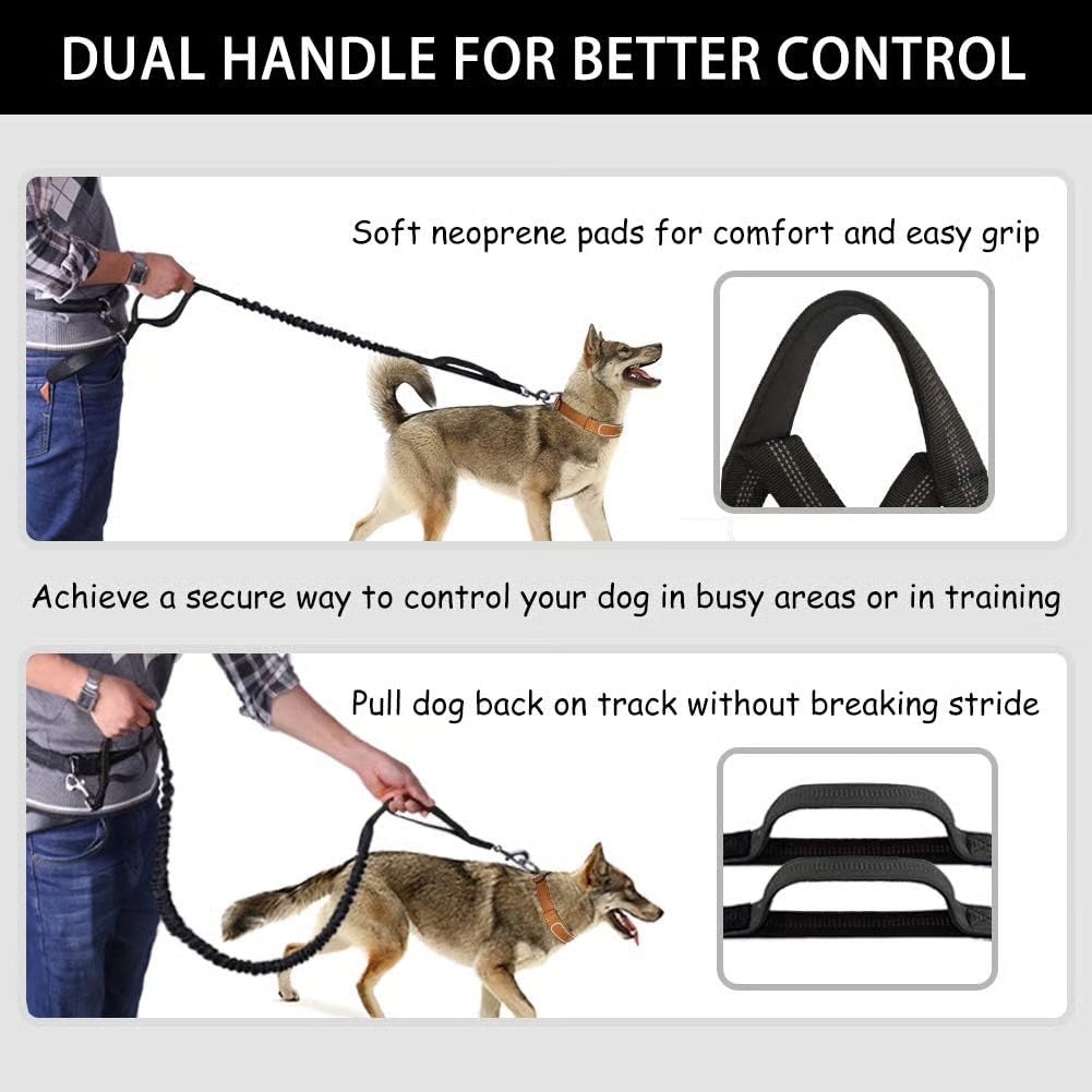 Hands Free Dog Leash ~ Built for dogs at war with squirrels.