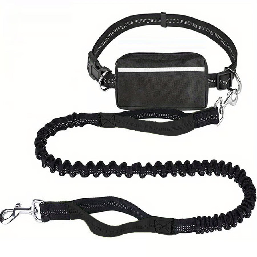 Hands Free Dog Leash ~ Built for dogs at war with squirrels.