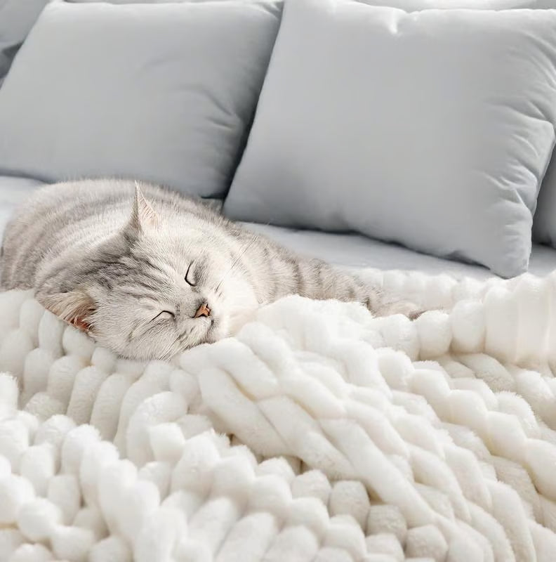Viral Soft Plush Nap Blanket ~ Wrap yourself in cloud-like comfort anytime.