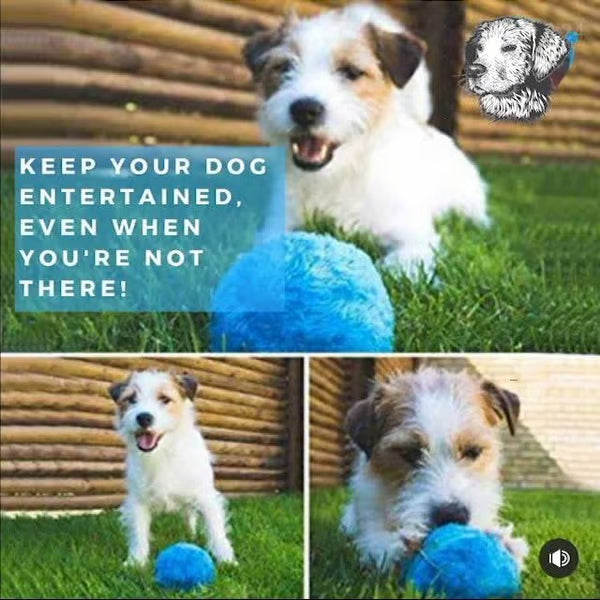 Anti-Anxiety Automatic Moving Ball ~ Unleash nonstop zoomies without lifting a finger.