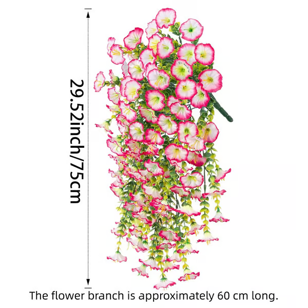 Hanging Morning Glory ~ Year-round floral charm, no watering needed