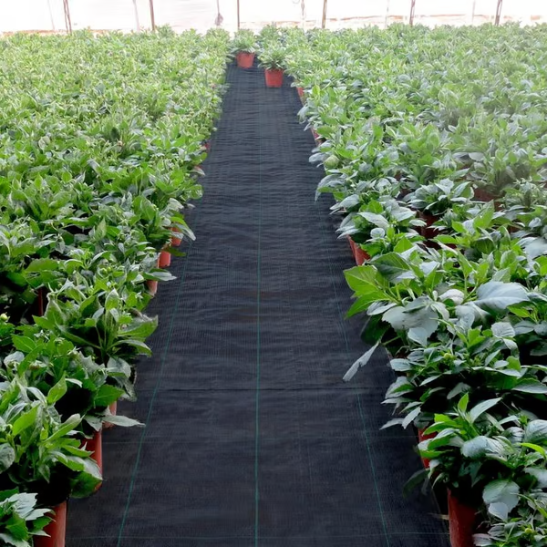 Premium Woven Weed Barrier ~ No chemicals, no mess, just results.