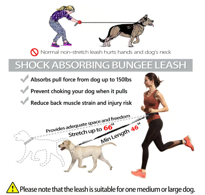 Hands Free Dog Leash ~ Built for dogs at war with squirrels.