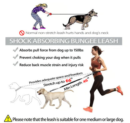 Hands Free Dog Leash ~ Built for dogs at war with squirrels.