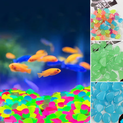 Solar Powered Glow Rocks ~ Transform pathways into a glowing nightscape.