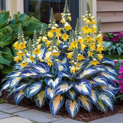 Rare Hosta Seeds ~ Transform dull garden corners into a colorful oasis.