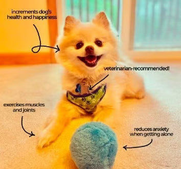 Anti-Anxiety Automatic Moving Ball ~ Unleash nonstop zoomies without lifting a finger.