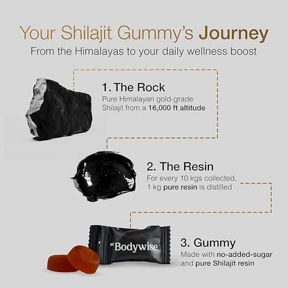 Pure Himalayan Shilajit Gummies ~ Natural Energy & Stamina in Every Bite~