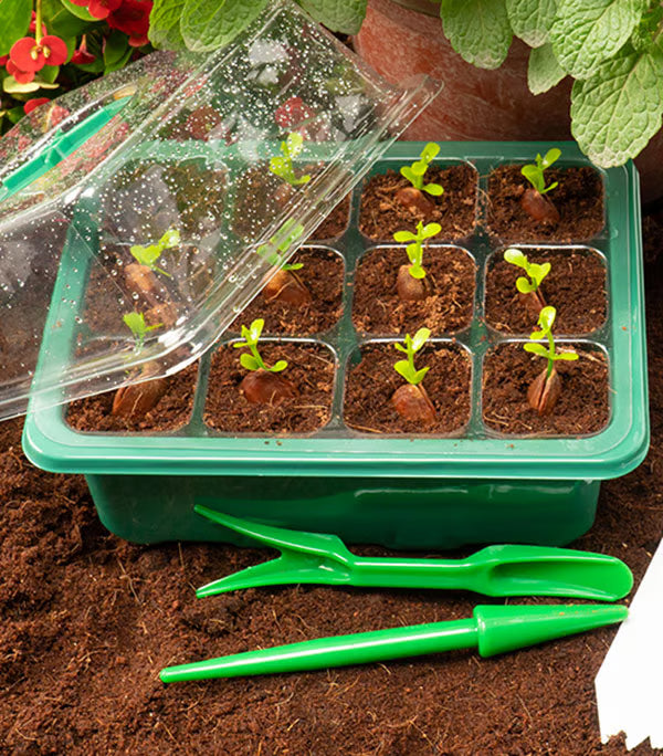 Adjustable Humidity Seed Starter Trays ~ Grow herbs and veggies with ease.