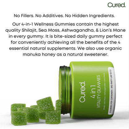 4-in-1 Vitality Gummies ~ Bring Back the Fire in Your Body & Bedroom