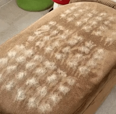 Electrostatic Pet Hair Removal Grooming Gloves ~ Instant fur removal & gentle pet grooming
