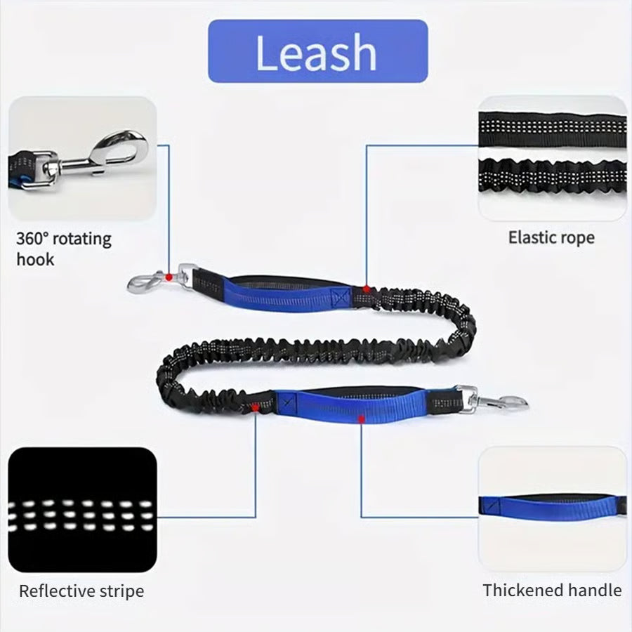 Hands Free Dog Leash ~ Built for dogs at war with squirrels.