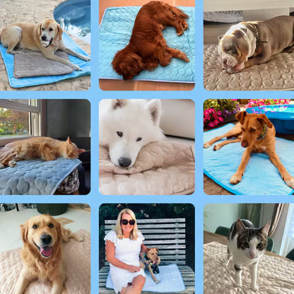Dog Cooling Mat ~ Instant heat relief without freezing or plugging in.