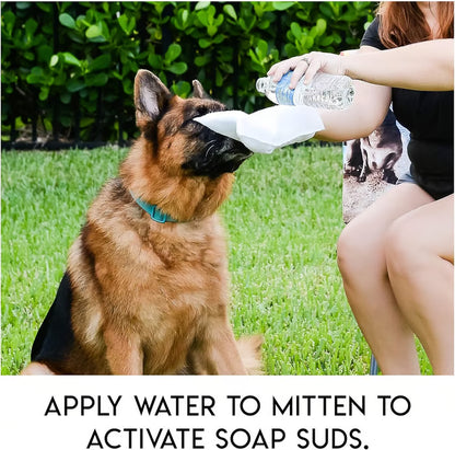 Rinse-Free Dog Shampoo Mitts ~ Because your dog thinks bathtub is a torture chamber.