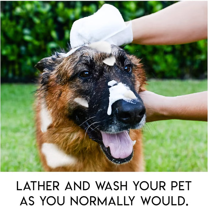 Rinse-Free Dog Shampoo Mitts ~ Because your dog thinks bathtub is a torture chamber.