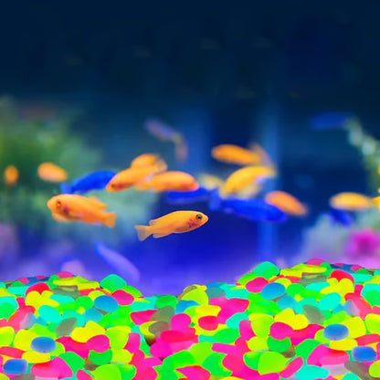 Solar Powered Glow Rocks ~ Transform pathways into a glowing nightscape.