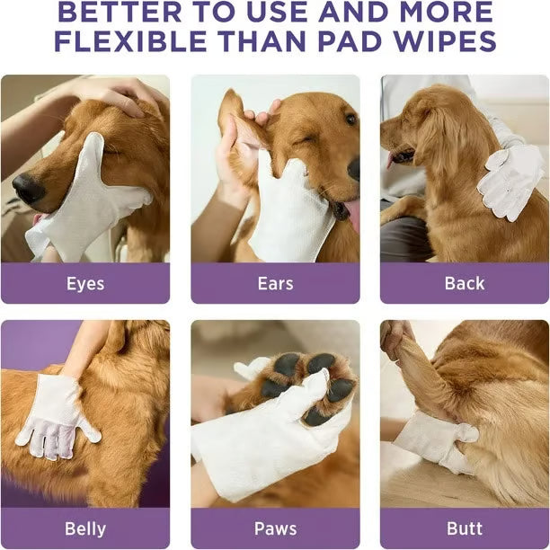 Odor-Removing Pet Glove Wipes ~ Bath-free freshness in seconds.