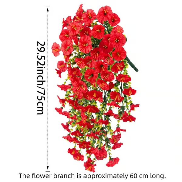 Hanging Morning Glory ~ Year-round floral charm, no watering needed.