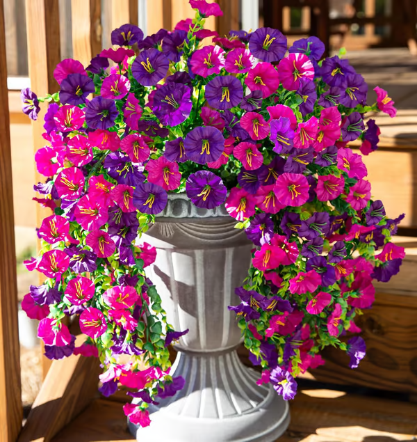 Hanging Morning Glory ~ Year-round floral charm, no watering needed.