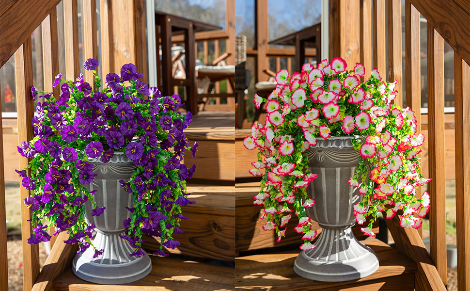 Hanging Morning Glory ~ Year-round floral charm, no watering needed.