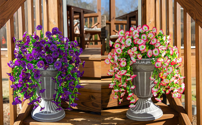 Hanging Morning Glory ~ Year-round floral charm, no watering needed.