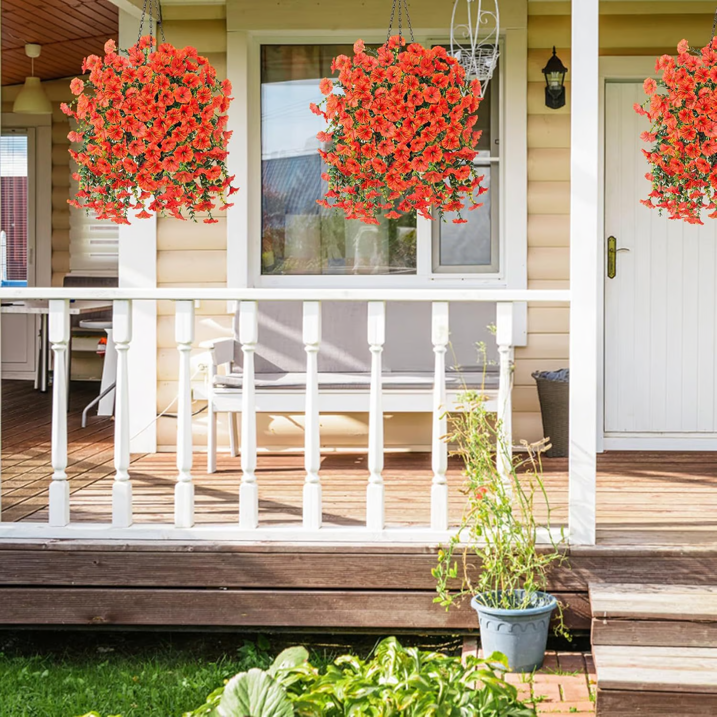Hanging Morning Glory ~ Year-round floral charm, no watering needed.