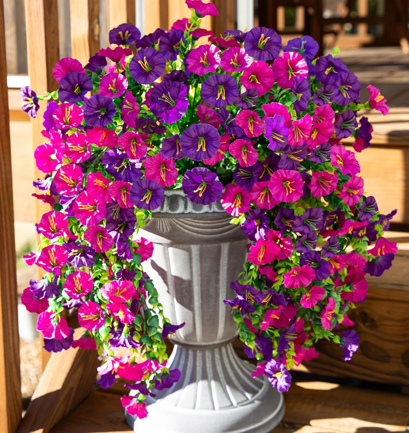 Hanging Morning Glory ~ Year-round floral charm, no watering needed.
