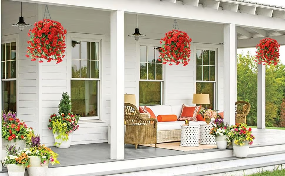 Hanging Morning Glory ~ Year-round floral charm, no watering needed.
