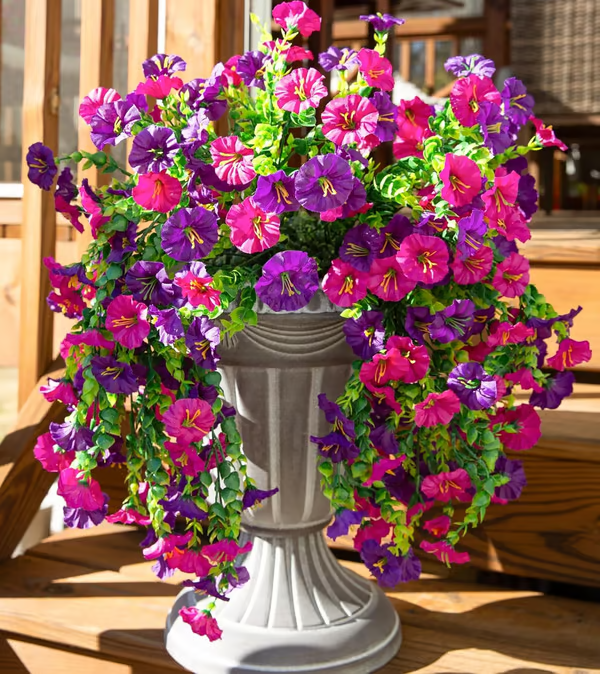 Hanging Morning Glory ~ Year-round floral charm, no watering needed.