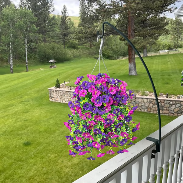 Hanging Morning Glory ~ Year-round floral charm, no watering needed.