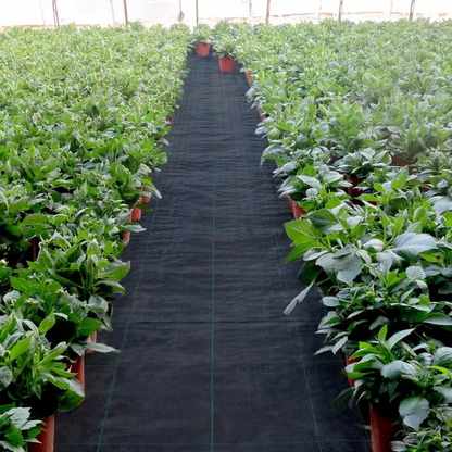 Premium Woven Weed Barrier ~ No chemicals, no mess, just results.